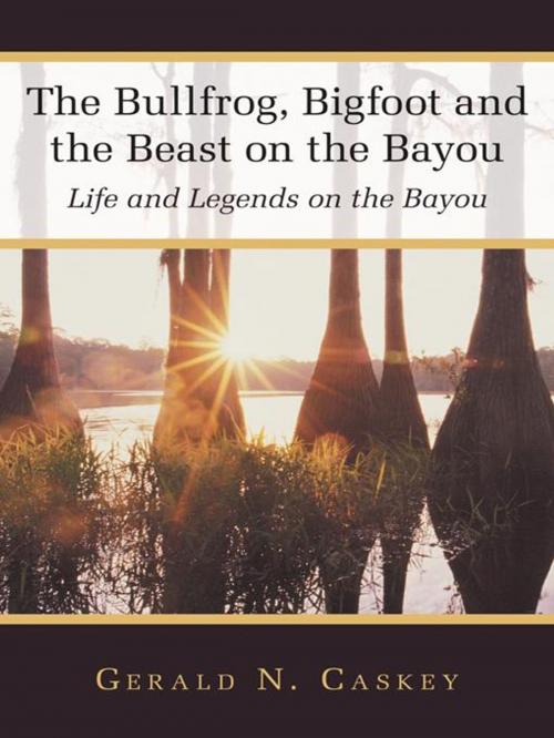 Cover of the book The Bullfrog, Bigfoot and the Beast on the Bayou by Gerald N. Caskey, WestBow Press