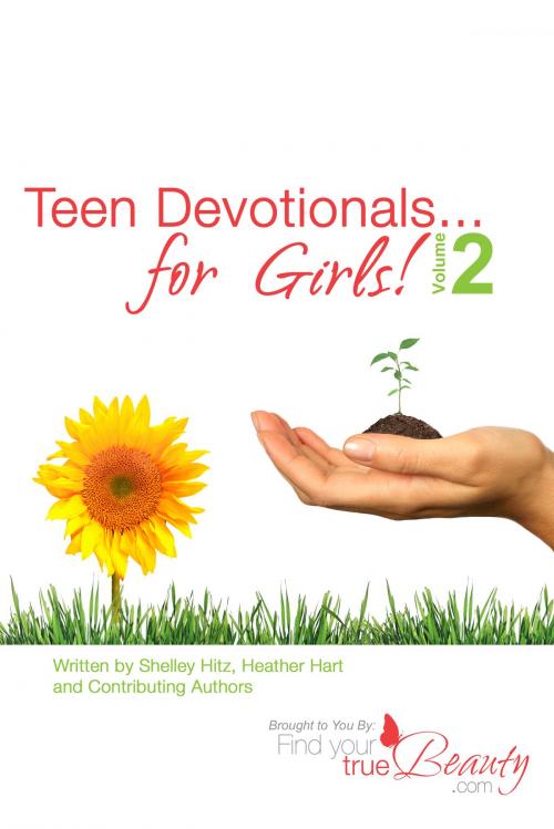 Cover of the book Teen Devotionals...for Girls! Volume 2 by Shelley Hitz, Body and Soul Publishing