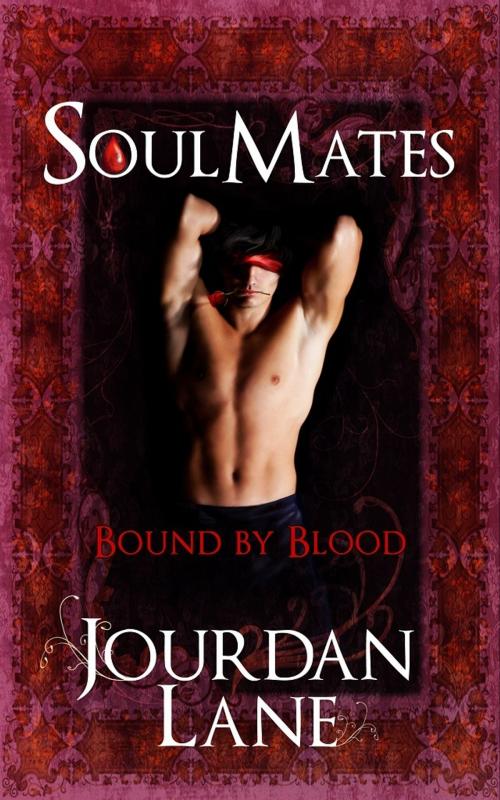 Cover of the book Soul Mates: Bound by Blood by Jourdan Lane, Jourdan Lane