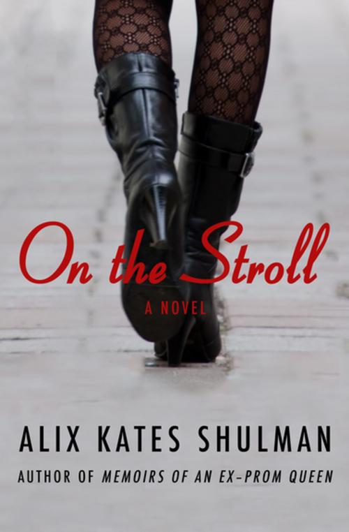 Cover of the book On the Stroll by Alix Kates Shulman, Open Road Media