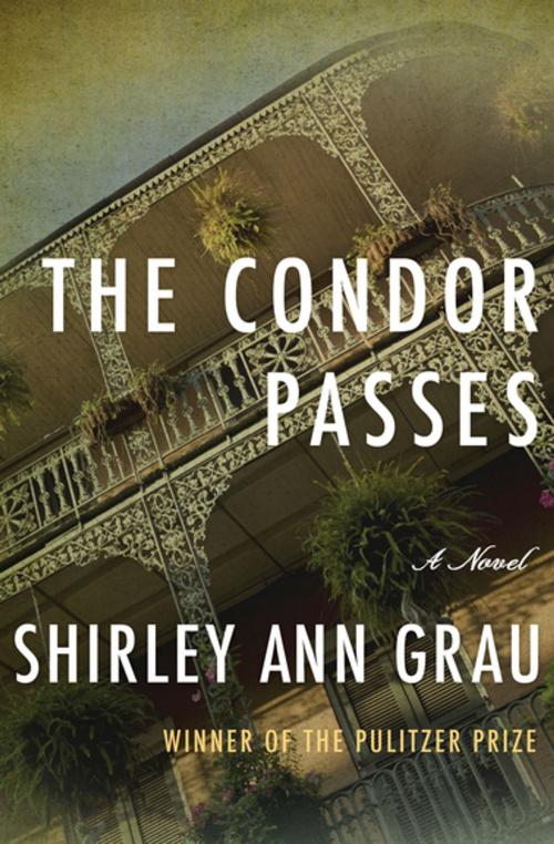 Cover of the book The Condor Passes by Shirley Ann Grau, Open Road Media