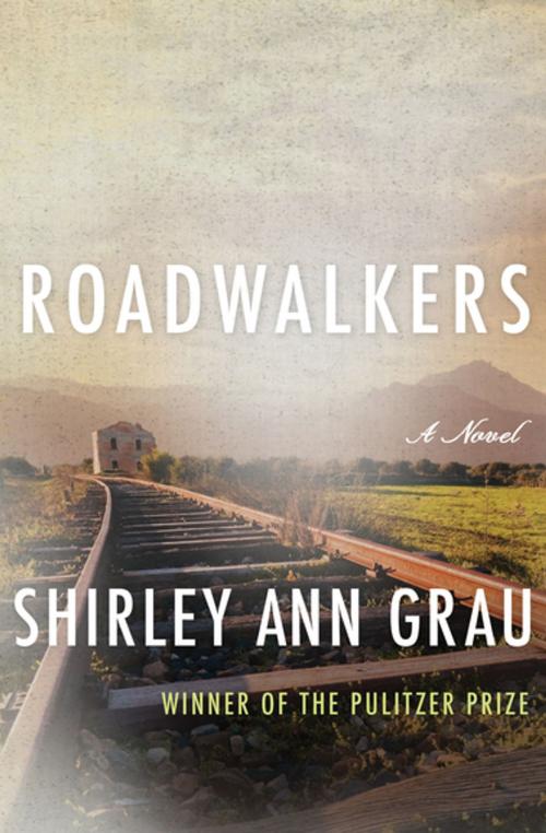 Cover of the book Roadwalkers by Shirley Ann Grau, Open Road Media