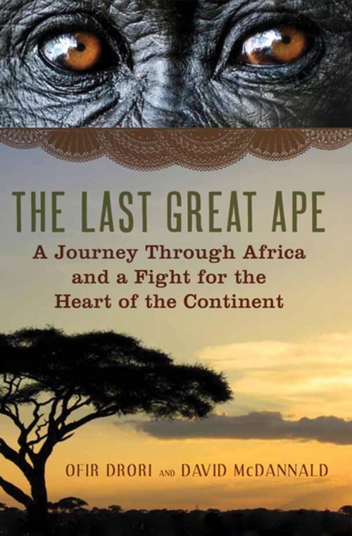 Cover of the book The Last Great Ape by Ofir Drori, David McDannald, Pegasus Books
