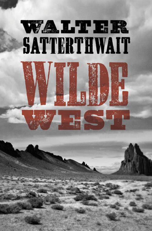 Cover of the book Wilde West by Walter Satterthwait, MysteriousPress.com/Open Road