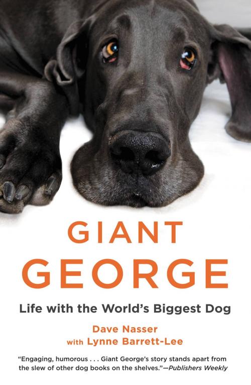 Cover of the book Giant George by Dave Nasser, Grand Central Publishing