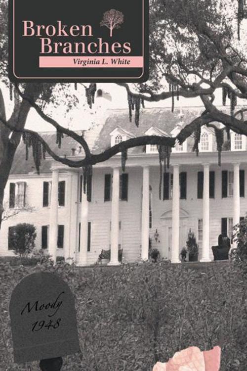 Cover of the book Broken Branches by Virginia L. White, Abbott Press