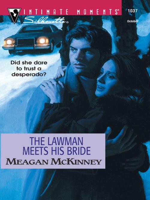 Cover of the book The Lawman Meets His Bride by Meagan McKinney, Silhouette