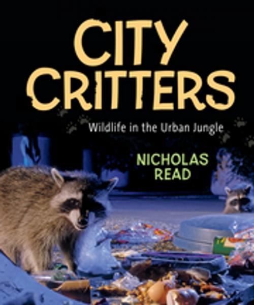 Cover of the book City Critters: Wildlife in the Urban Jungle by Nicholas Read, Orca Book Publishers