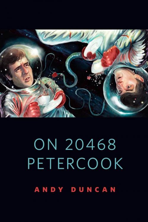 Cover of the book On 20468 Petercook by Andy Duncan, Tom Doherty Associates