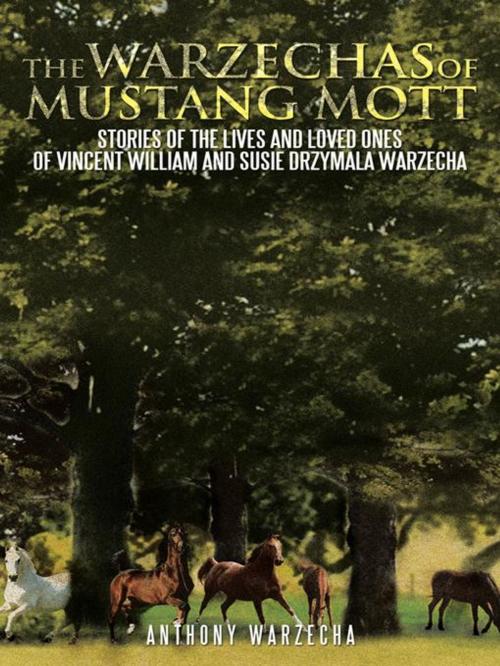 Cover of the book The Warzechas of Mustang Mott by Anthony Warzecha, Trafford Publishing