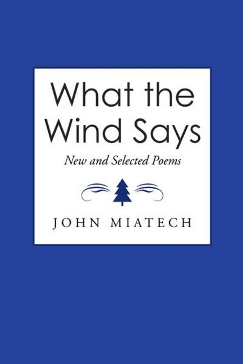 Cover of the book What the Wind Says by John Miatech, AuthorHouse