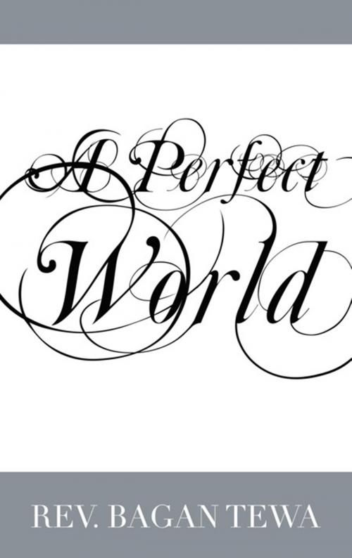 Cover of the book A Perfect World by Rev. Bagan Tewa, Xlibris US