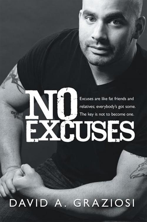 Cover of the book No Excuses by David A. Graziosi, Xlibris US