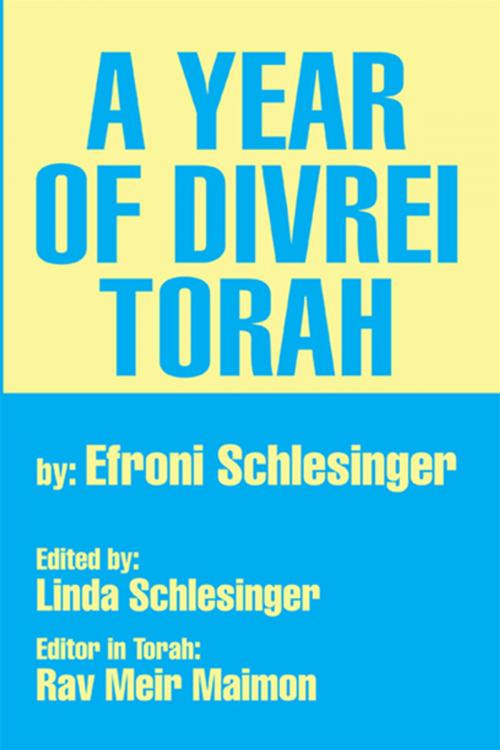 Cover of the book A Year of Divrei Torah by Efroni Schlesinger, Xlibris US