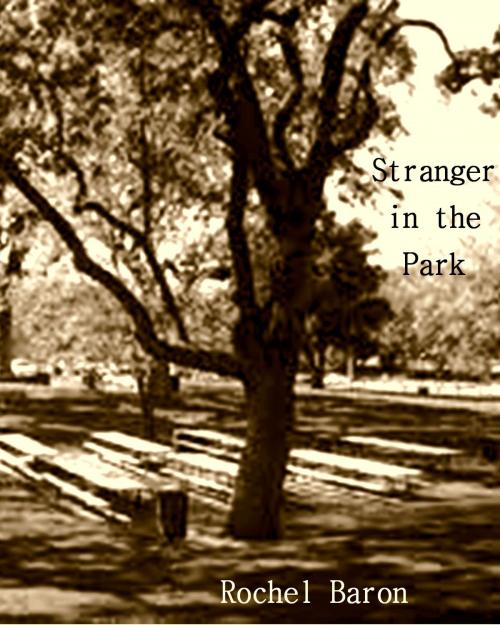 Cover of the book Stranger in the Park by Rochel Baron, Rochel Baron