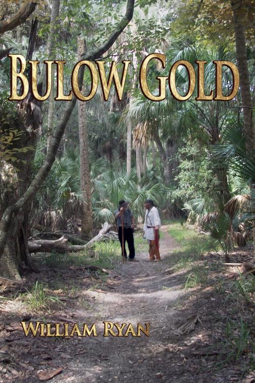 Cover of the book Bulow Gold by Bill Ryan, Bill Ryan