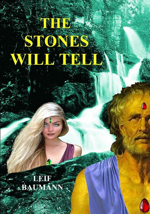 Cover of the book The Stones Will Tell by Leif Baumann, Martian Publishing