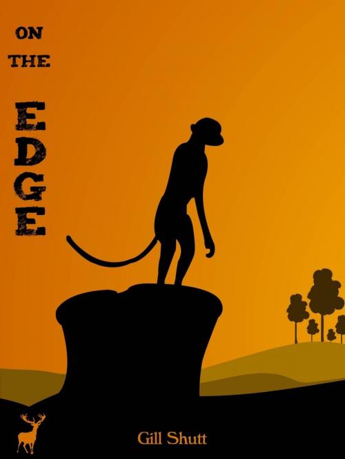 Cover of the book On the Edge by Gill Shutt, Greyhart Press