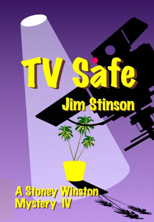 Cover of the book TV Safe by Jim Stinson, Jim Stinson