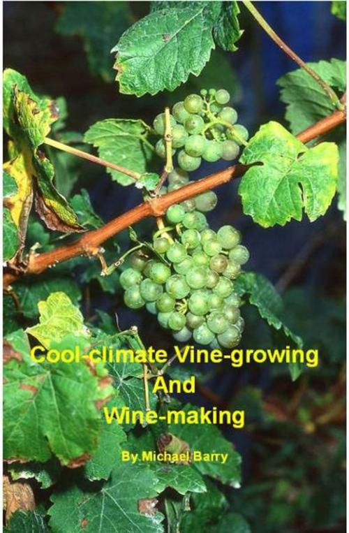 Cover of the book Cool-Climate Vine-growing and Wine-making by Michael Barry, Michael Barry
