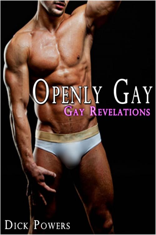 Cover of the book Openly Gay by Dick Powers, Lunatic Ink Publishing