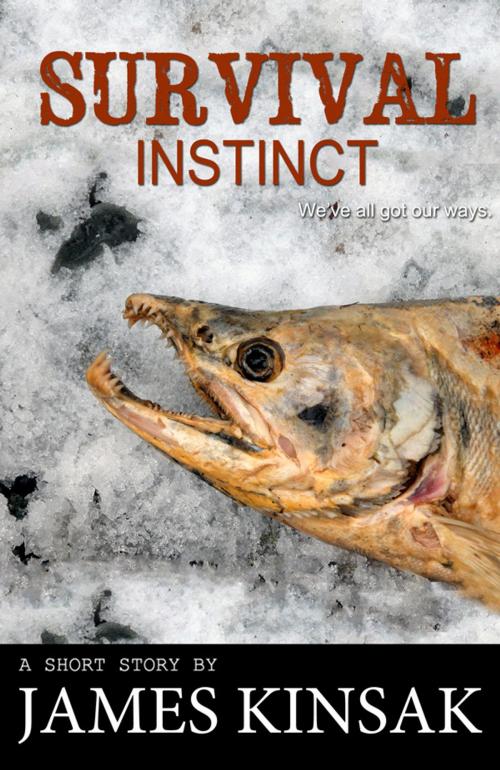 Cover of the book Survival Instinct by James Kinsak, Fiero Publishing