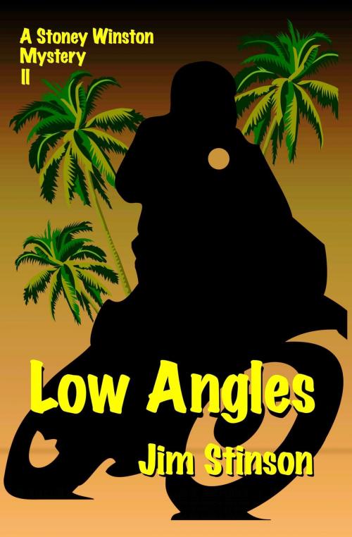 Cover of the book Low Angles by Jim Stinson, Jim Stinson