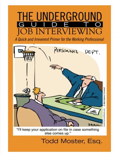 Cover of the book The Underground Guide to Job Interviewing: A Quick and Irreverent Primer for the Working Professional by Todd Moster, Todd Moster