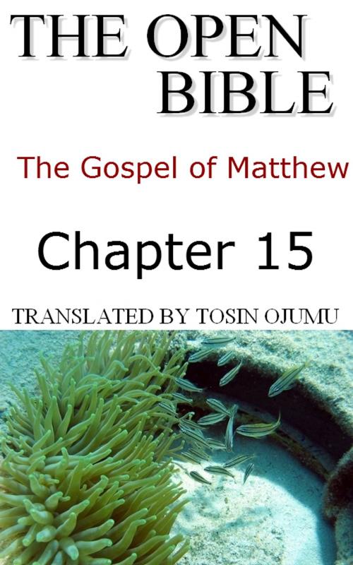 Cover of the book The Open Bible -The Gospel of Matthew: Chapter 15 by Open Bible Matthew, The Open Bible