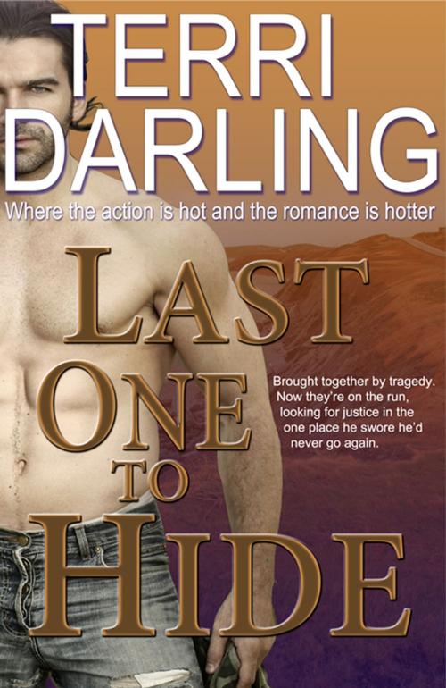 Cover of the book Last One to Hide by Terri Darling, Fiero Publishing