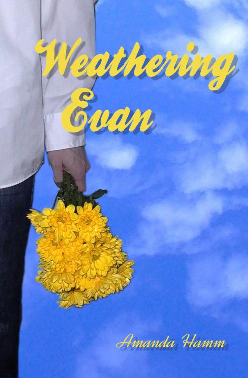 Cover of the book Weathering Evan by Amanda Hamm, Before Someday Publishing