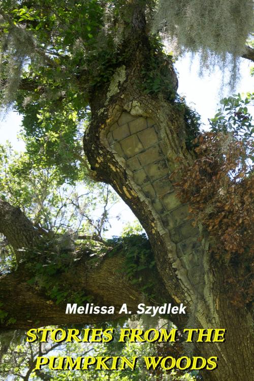 Cover of the book Stories From The Pumpkin Woods by Melissa Szydlek, Melissa Szydlek