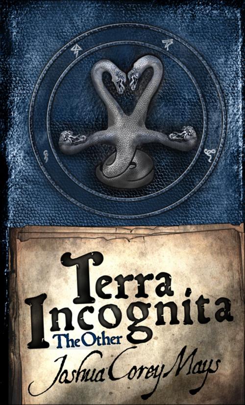 Cover of the book Terra Incognita: The Other by J Mays, J Mays