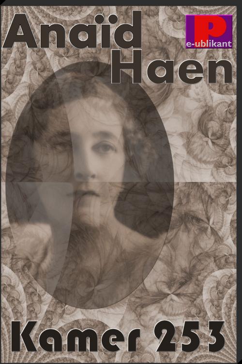 Cover of the book Kamer 253 by Anaïd Haen, e-Publikant