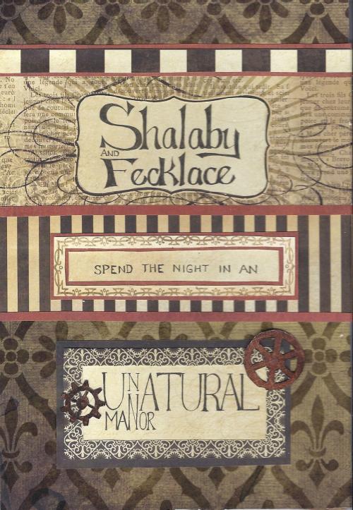 Cover of the book Shalaby and Fecklace Spend the Night in an Unnatural Manor by Chantelle Messier, Chantelle Messier
