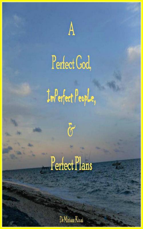 Cover of the book A Perfect God, Imperfect People, and Perfect Plans by Miriam Kinai, Miriam Kinai