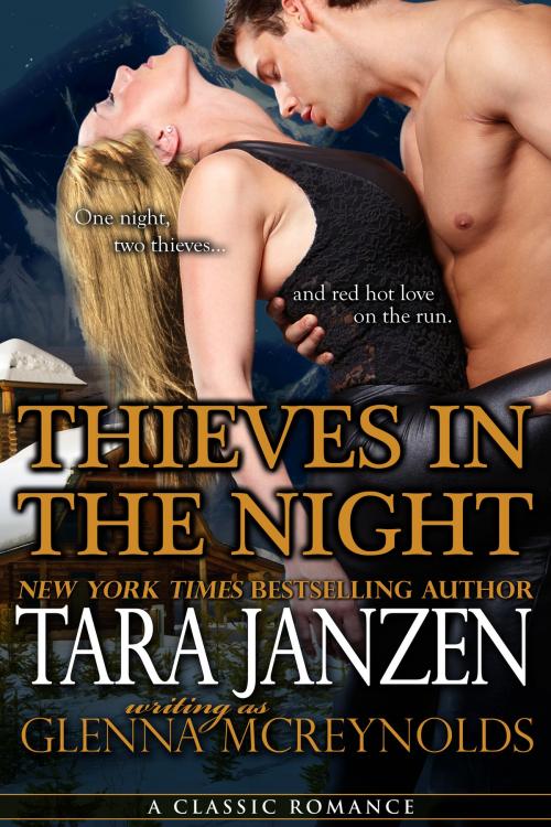 Cover of the book Thieves In The Night by Tara Janzen, Tara Janzen