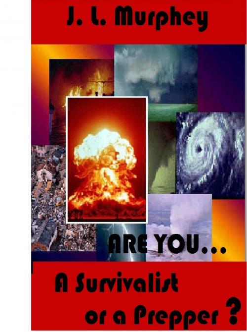 Cover of the book Are You a Survivalist or a Prepper? by J.L. Murphey, J.L. Murphey