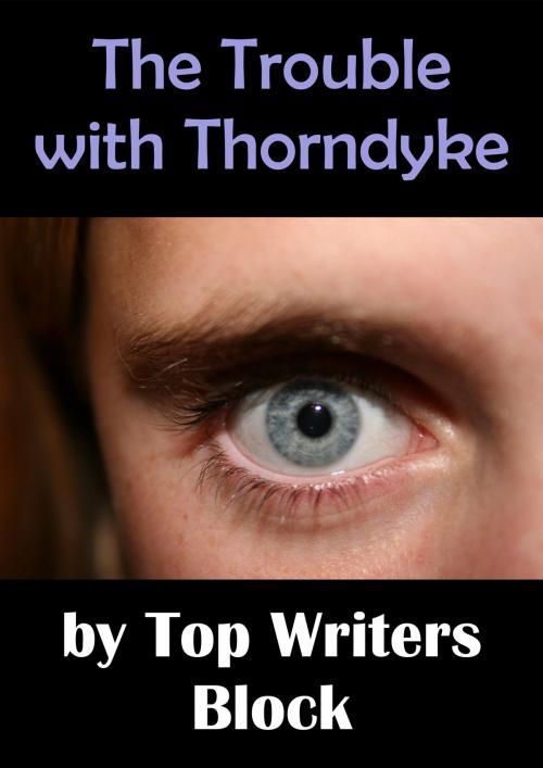 Cover of the book The Trouble with Thorndyke by Top Writers Block, Top Writers Block