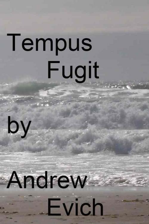 Cover of the book Tempus Fugit by Andrew Evich, Andrew Evich