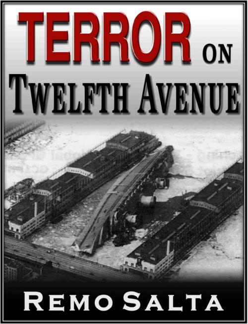 Cover of the book Terror on Twelfth Avenue by Remo Salta, Remo Salta