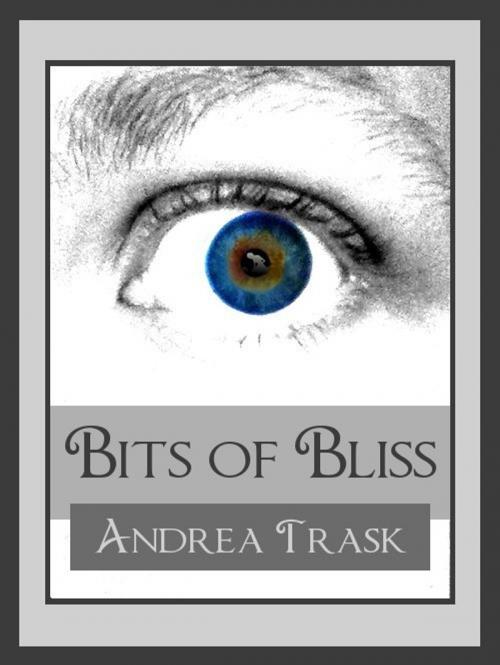 Cover of the book Bits of Bliss: Volume 1 by Andrea Trask, Andrea Trask