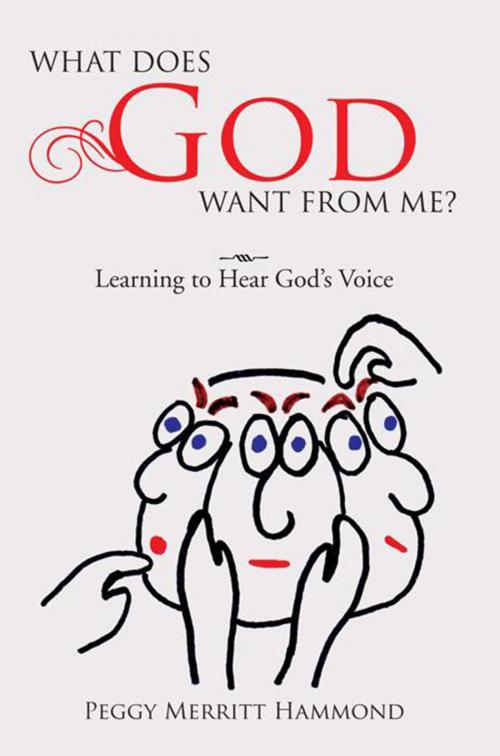 Cover of the book What Does God Want from Me? by Peggy Merritt Hammond, Xlibris US