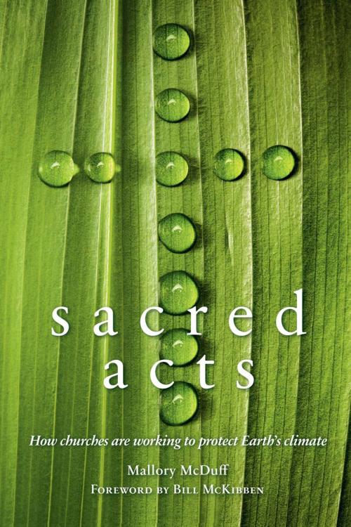 Cover of the book Sacred Acts: How Churches are Working to Protect Earth's Climate by McDuff, Mallory, New Society Publishers