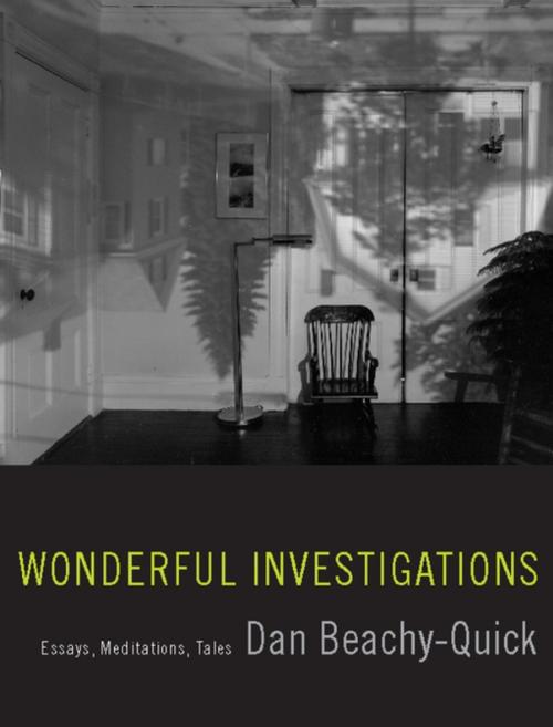 Cover of the book Wonderful Investigations by Dan Beachy-Quick, Milkweed Editions