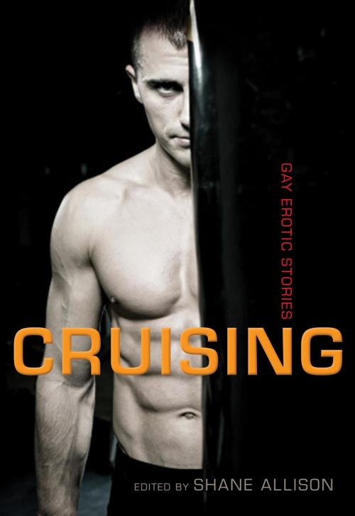 Cover of the book Cruising by , Cleis Press