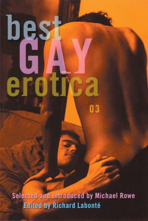 Cover of the book Best Gay Erotica 2003 by , Cleis Press