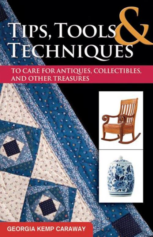 Cover of the book Tips, Tools, and Techniques to Care for Antiques, Collectibles, and Other Treasures by Georgia Kemp Caraway, University of North Texas Press