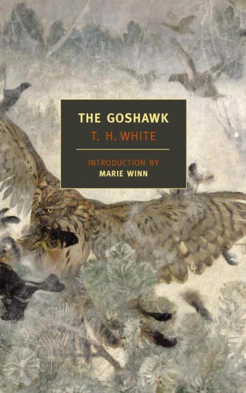 Cover of the book The Goshawk by T.H. White, New York Review Books
