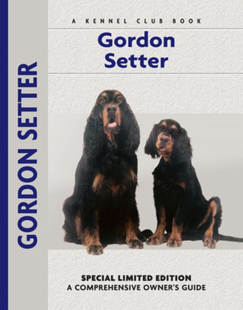 Cover of the book Gordon Setter by Nona Kilgore Bauer, CompanionHouse Books